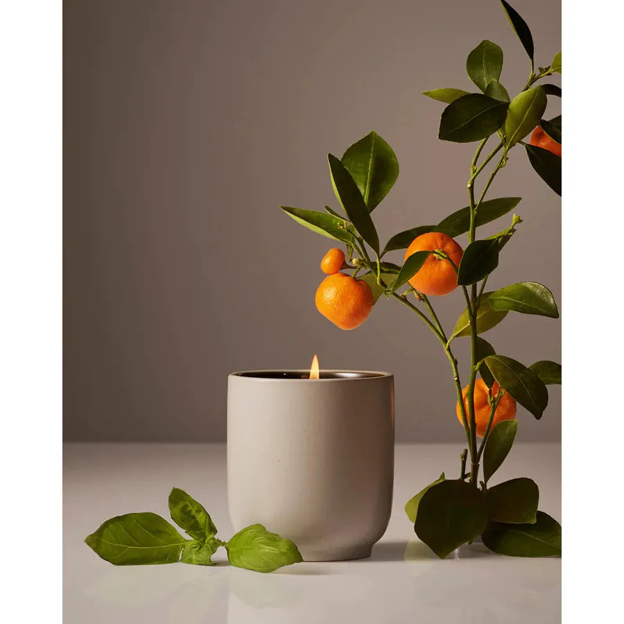 A Homecourt Candle in a gray holder beside a branch with ripe oranges, set against a neutral background.