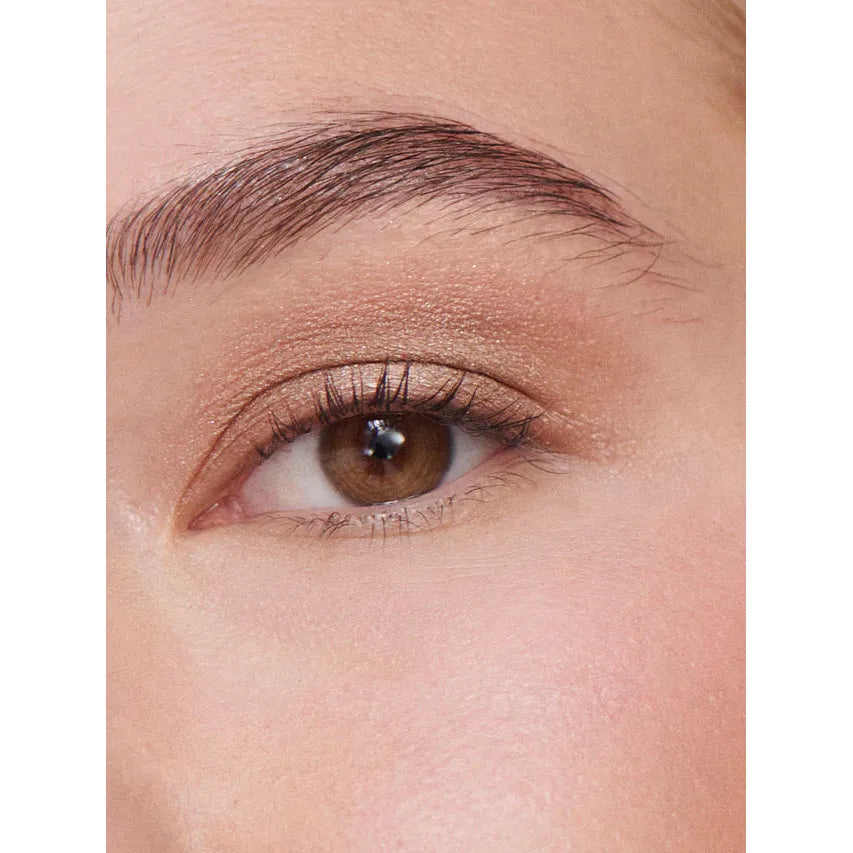 Close-up of a person's brown eye with makeup and well-groomed eyebrow.