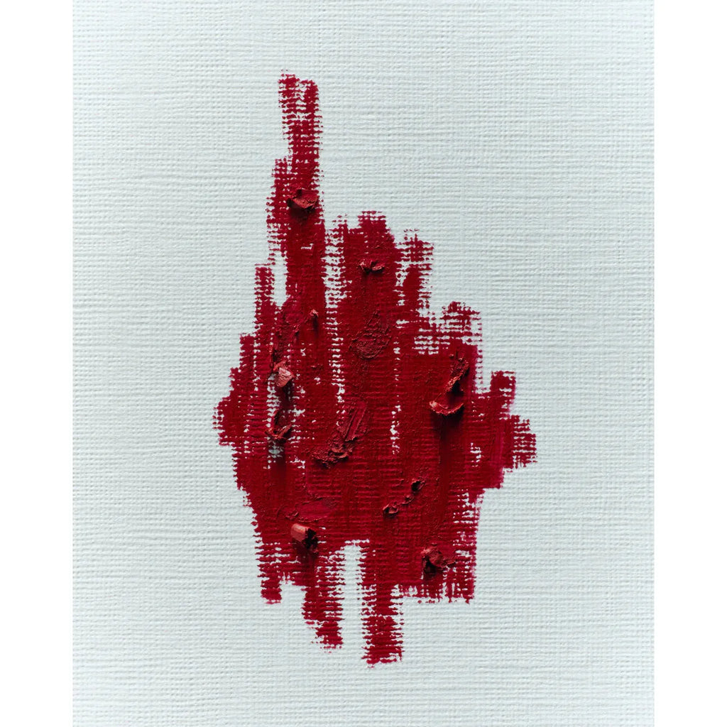 Embroidered red hand with extended middle finger on a white background.