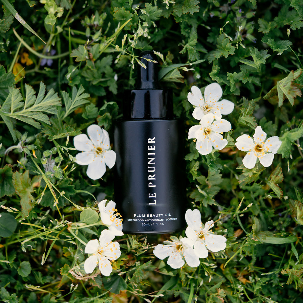 Black bottle of le prunier plum beauty oil placed among white flowers and greenery.