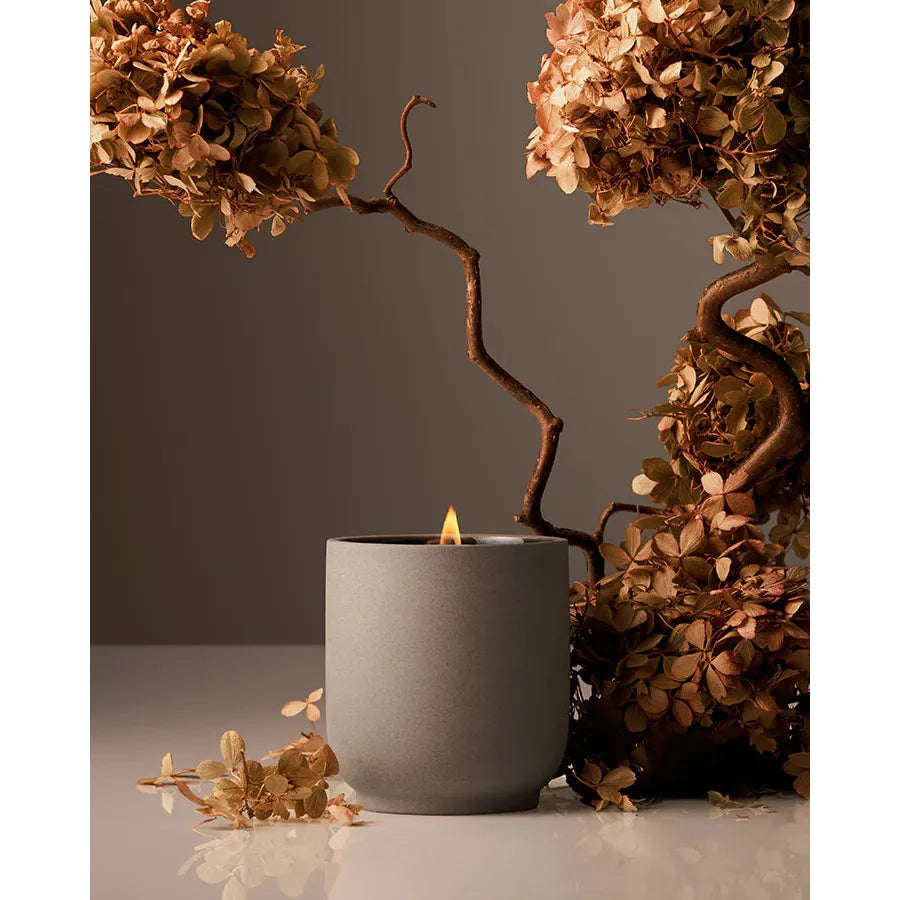 A lit candle in a gray container, surrounded by dried hydrangeas on a reflective surface.