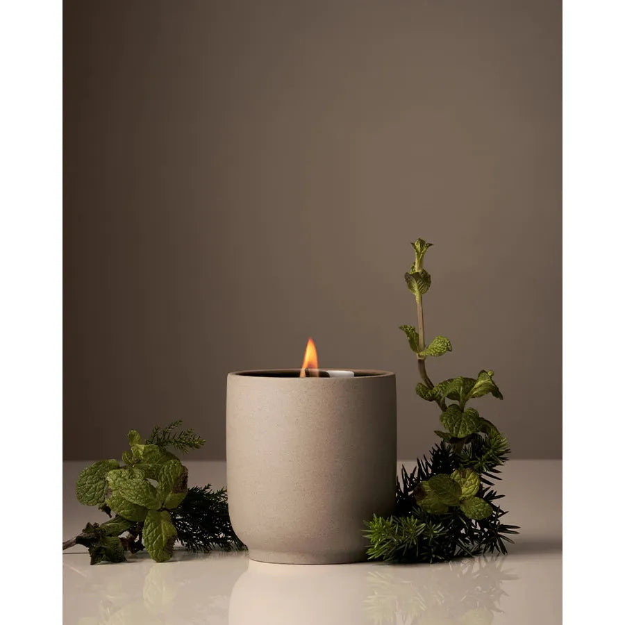 A lit candle in a ceramic holder with green plants around it on a neutral background.