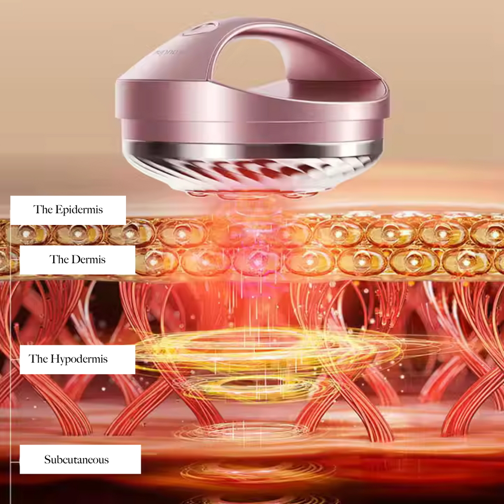 Illustration of the Wren and Wild RF/LED Facial Tool emitting light on layered skin sections labeled Epidermis, Dermis, Hypodermis, and Subcutaneous, highlighting its role in collagen regeneration for effective anti-aging treatment.