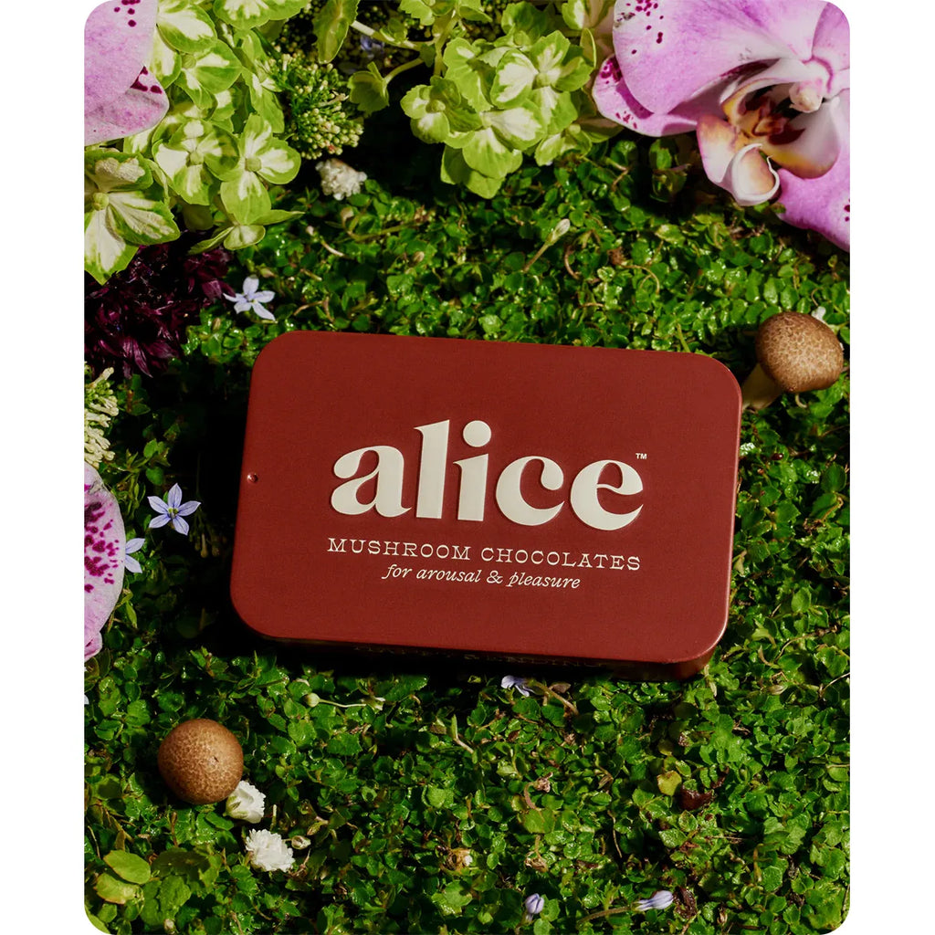A tin of alice mushroom chocolates lying amidst greenery and flowers.