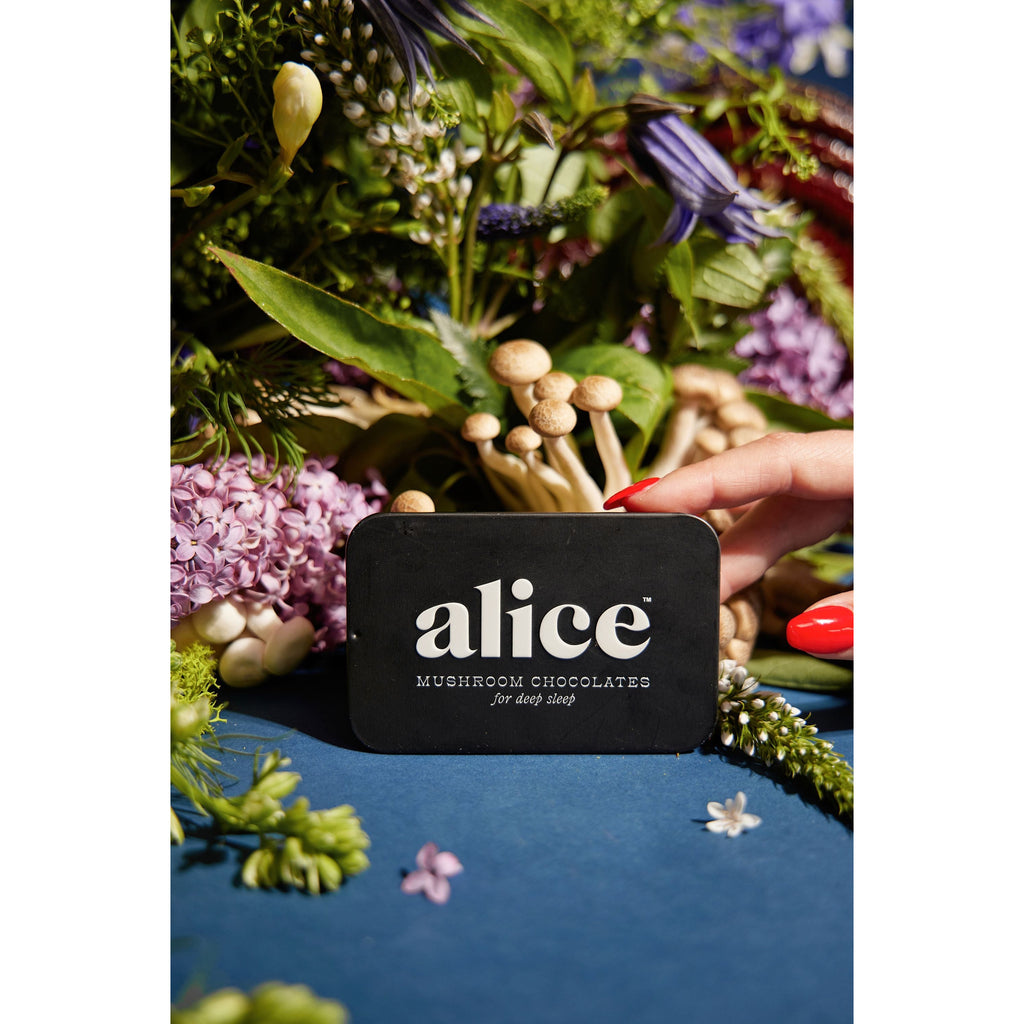 A hand presenting a package of "alice mushroom chocolates" amidst a vibrant array of flowers.