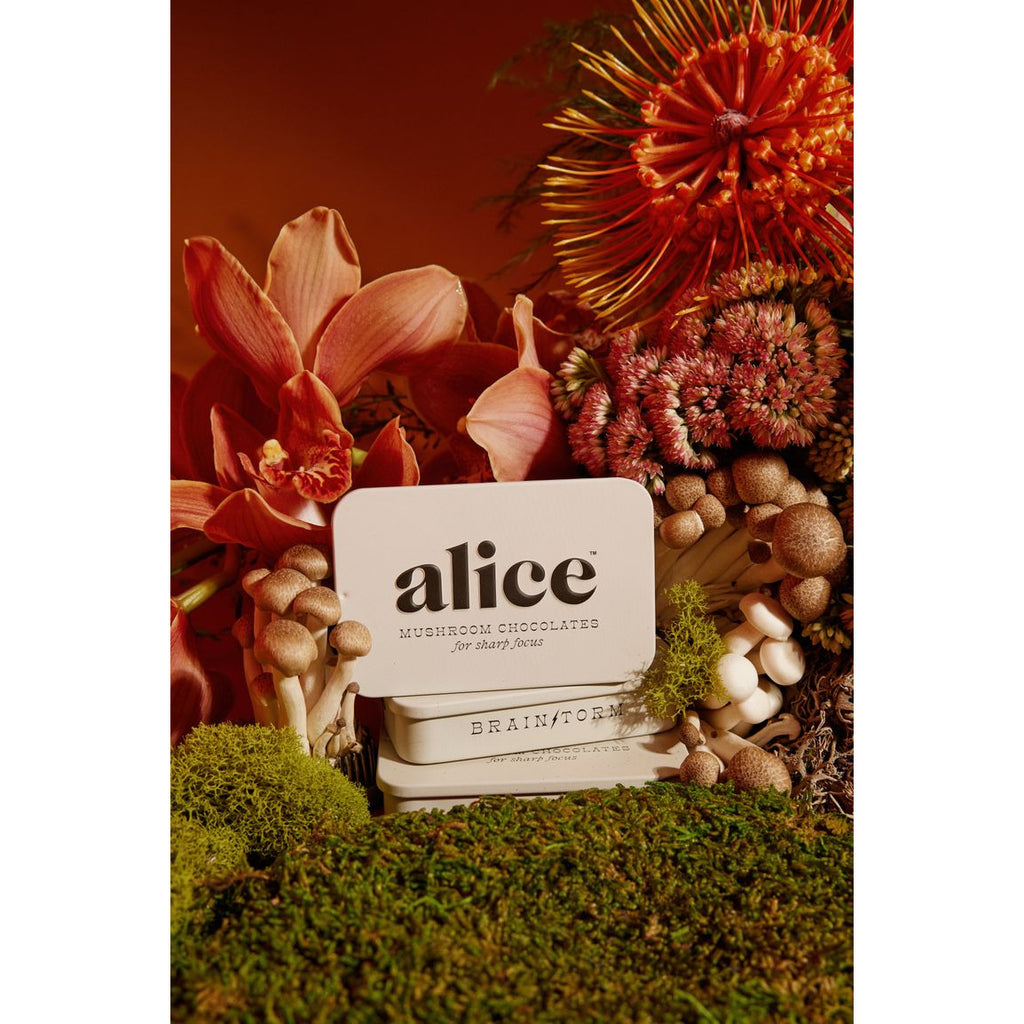 Artisanal chocolate bars presented amidst a lush arrangement of mushrooms, moss, and flowers.