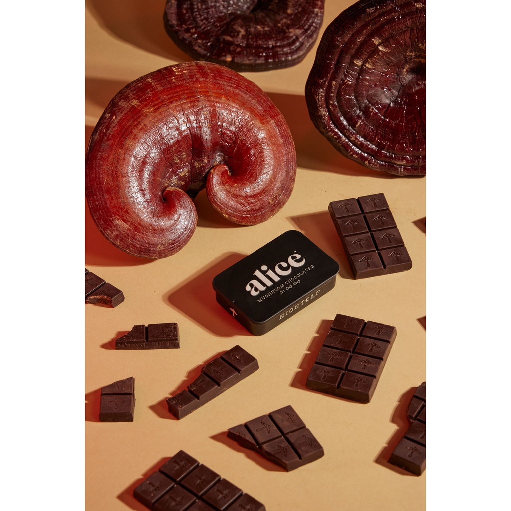 Pieces of dark chocolate arranged around a bar of soap with "alice" written on it, accompanied by two shiny red-brown mushroom-shaped decorations on a beige background.