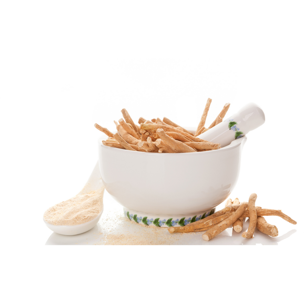 A bowl filled with ashwagandha sticks alongside a spoonful of ashwagandha powder.