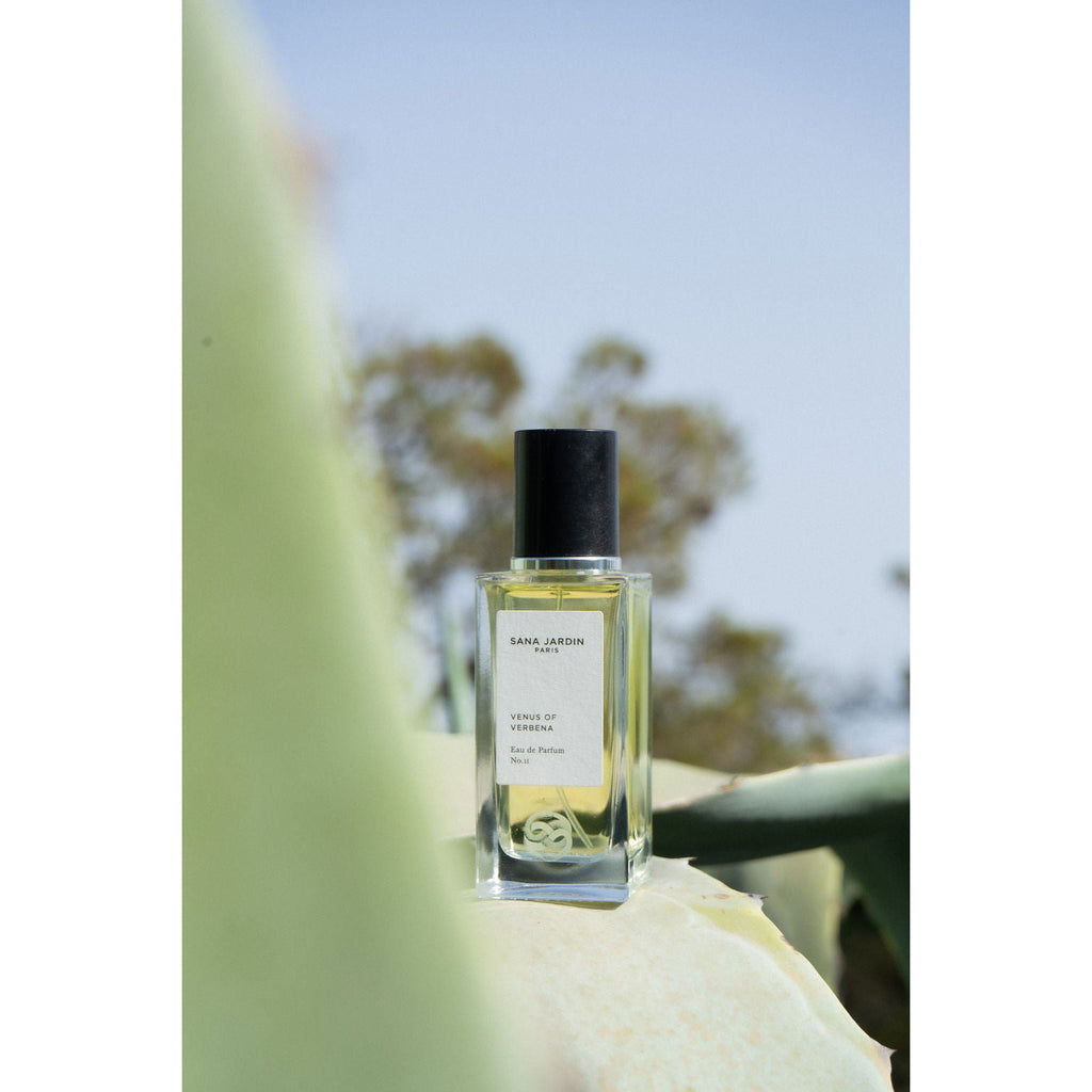 A bottle of perfume positioned against a natural backdrop with foliage.
