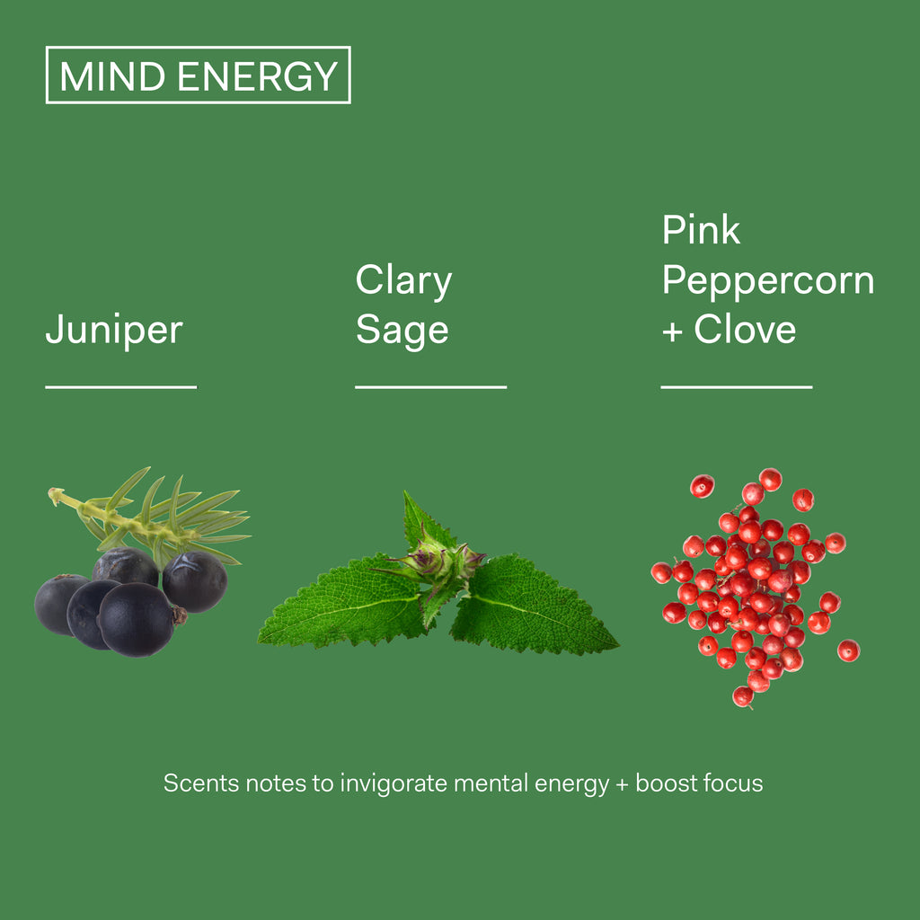Aromatic plants and spices used to invigorate mental energy and boost focus, featuring juniper, clary sage, and a blend of pink peppercorn with clove.