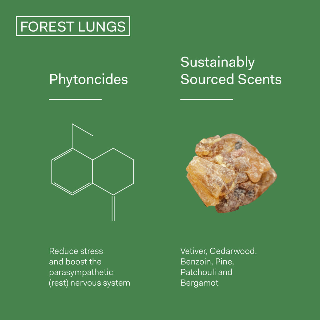 Infographic highlighting 'forest lungs' concept with phytoncides molecular structure and natural resin, promoting stress reduction and parasympathetic response through sustainably sourced scents.