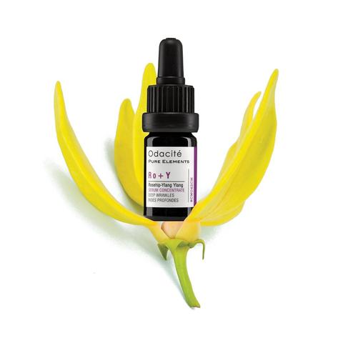 A dropper bottle of odacite pure elements ro + y, rosehip ylang ylang serum, positioned amidst yellow flower petals.