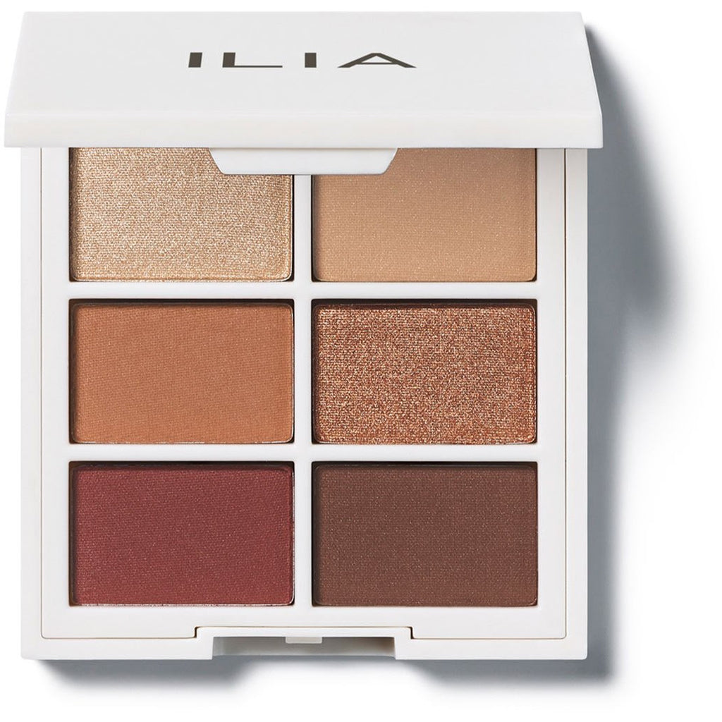 A compact eyeshadow palette with six different shades, ranging from light neutrals to dark browns, displayed in a white case with branding at the top.