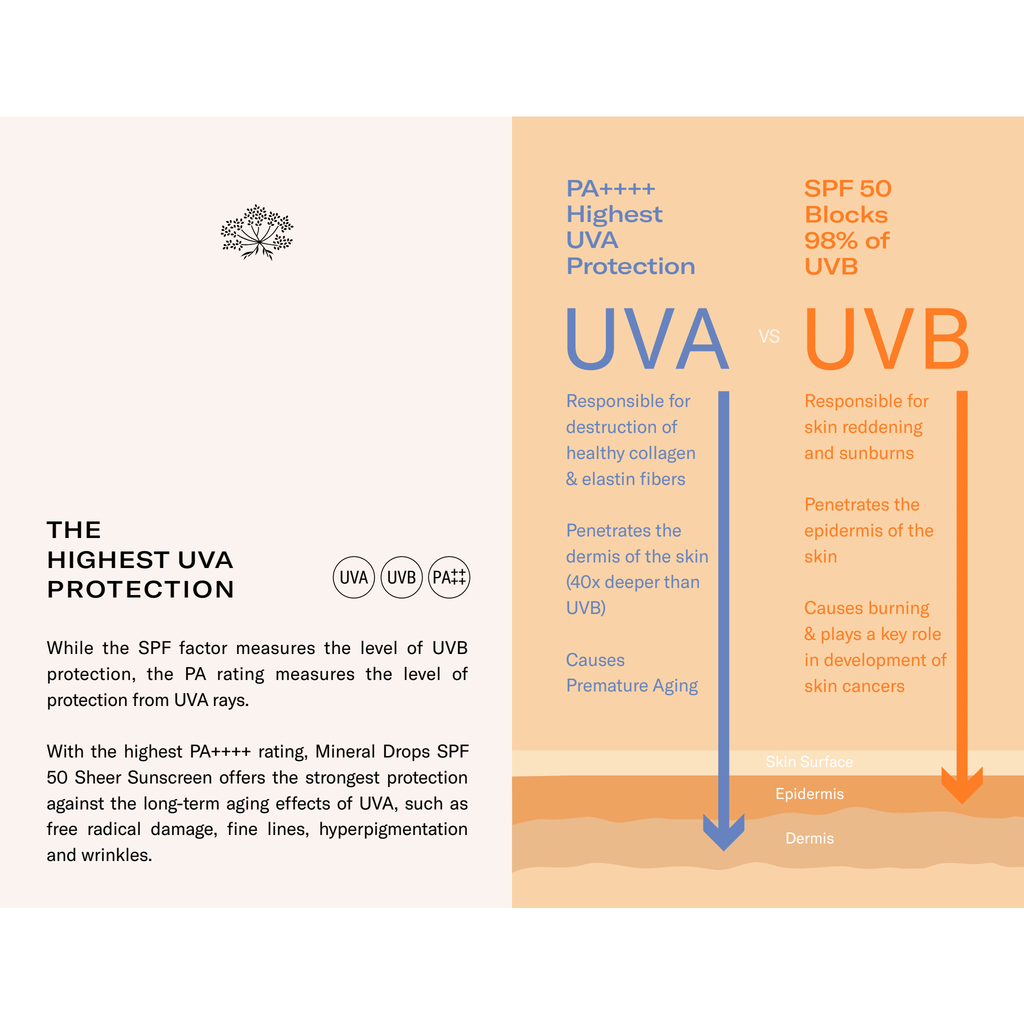 An infographic explaining the difference between uva and uvb protection provided by sunscreen, including their effects on the skin.