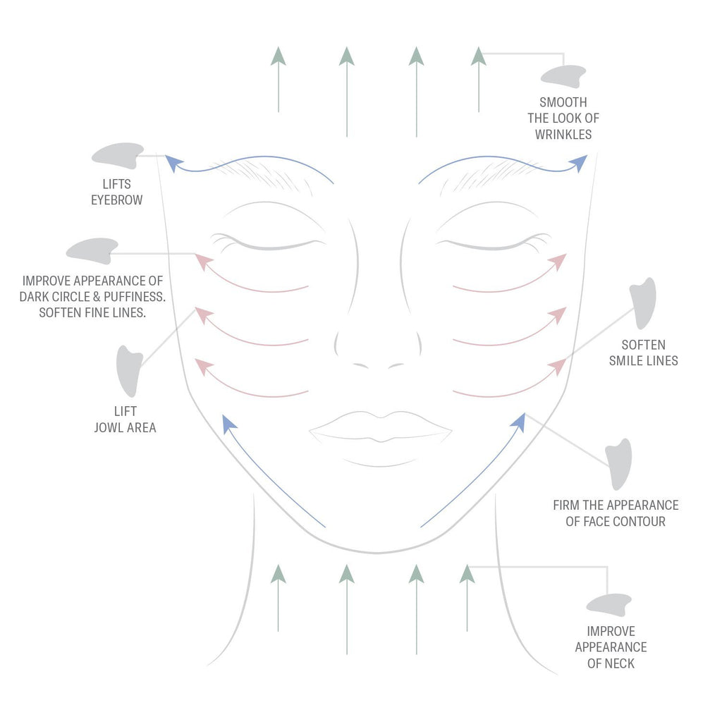 Illustration of a face highlighting areas targeted for cosmetic improvement, such as wrinkle smoothing and contour firming.