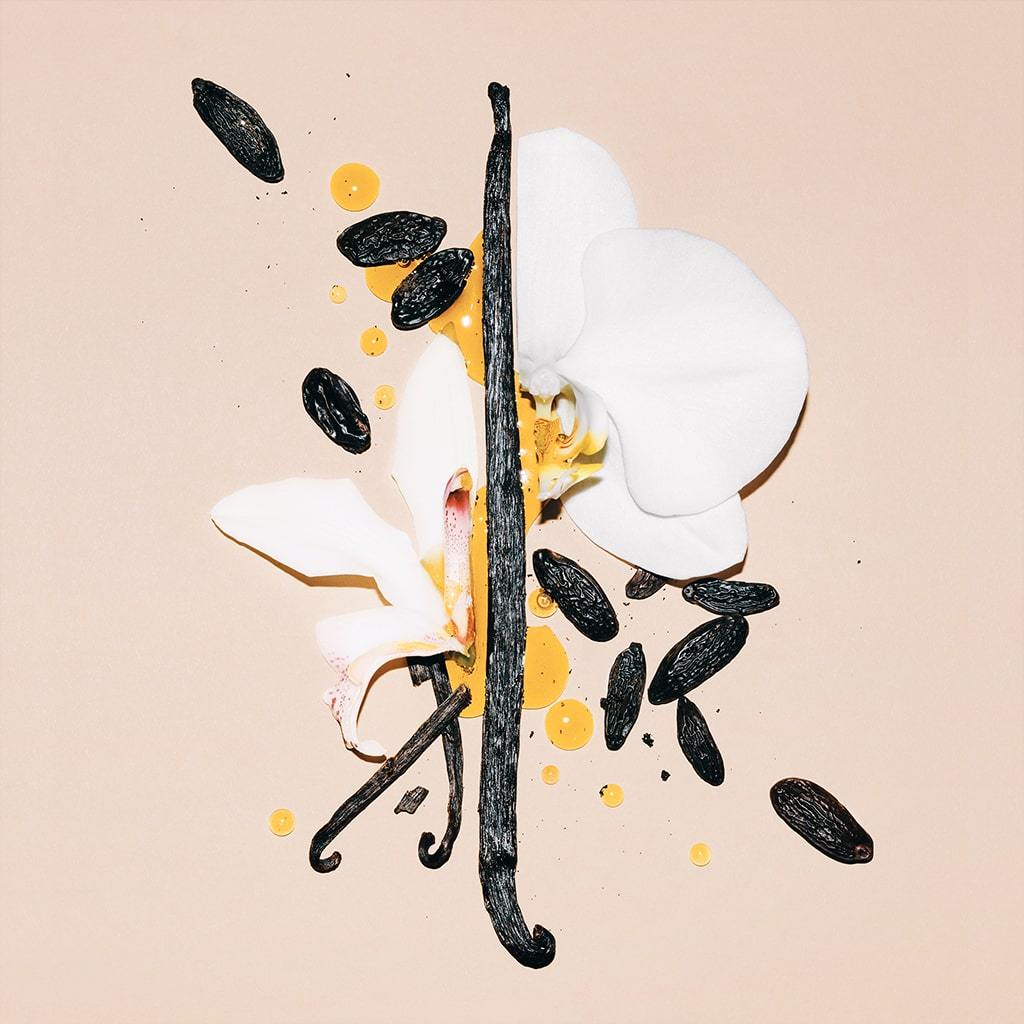 An orchid, a vanilla bean, and scattered tonka beans against a beige background.