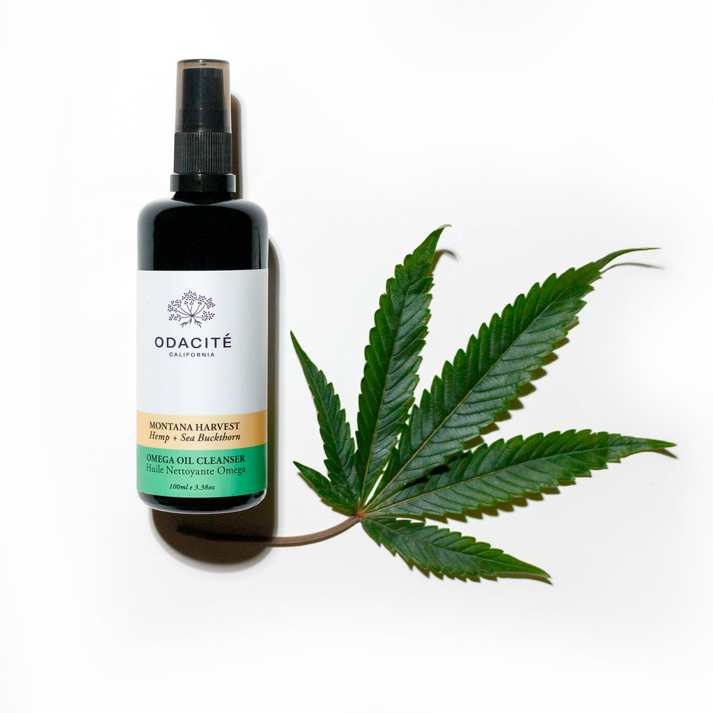 Bottle of odacite cleanser with a cannabis leaf on a white background.