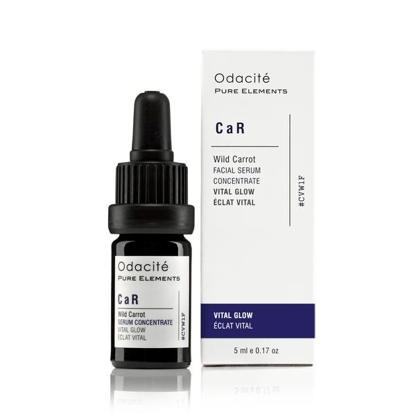 Wild carrot facial serum concentrate by odacite in packaging with a dropper bottle next to the box.