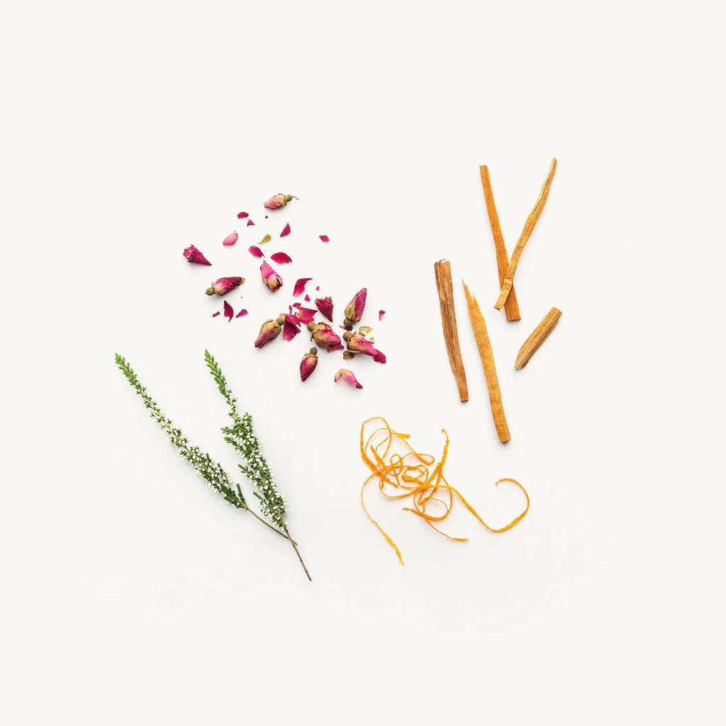 Various herbs and spices arranged neatly on a white background.