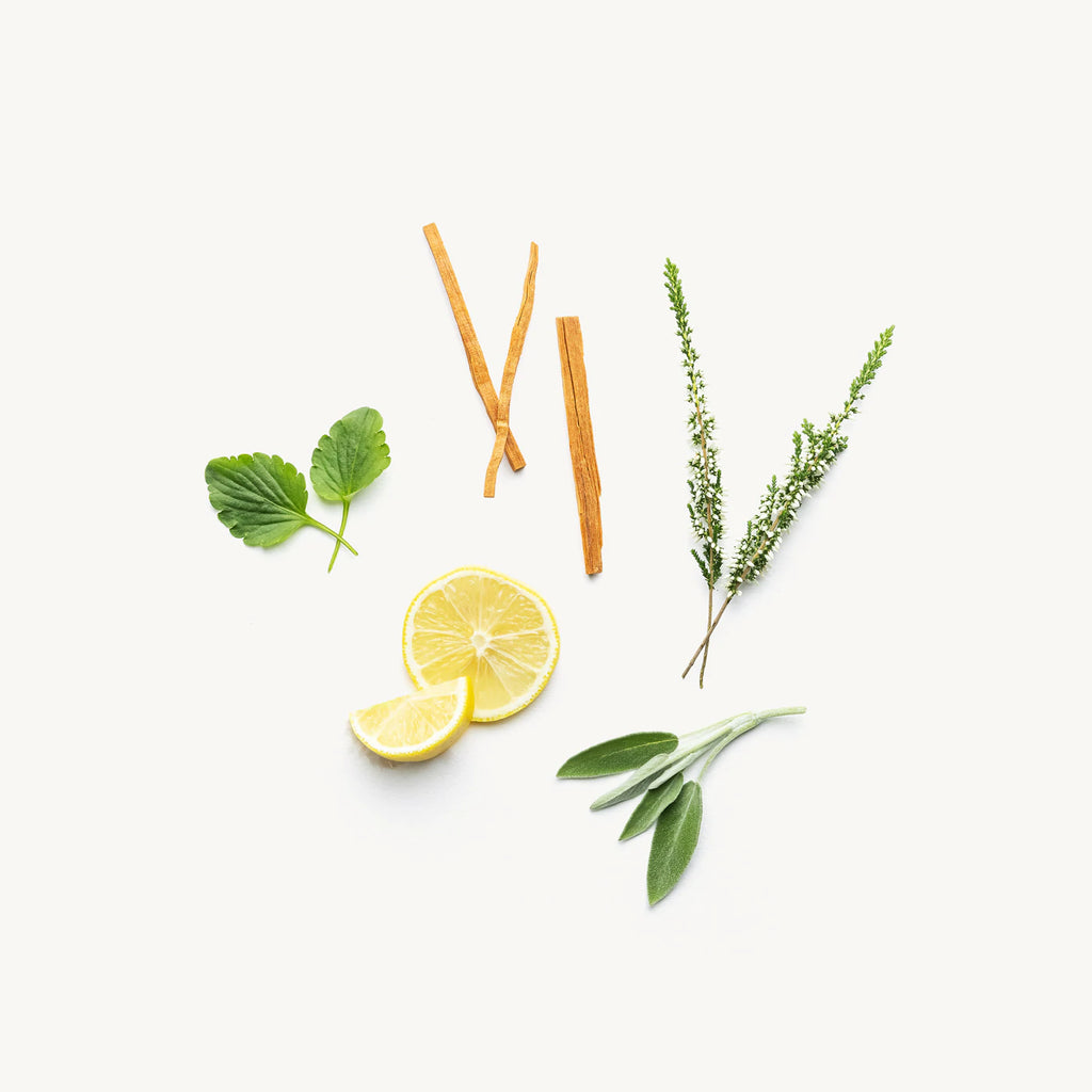 Various herbs and spices with lemon slices on a white background.