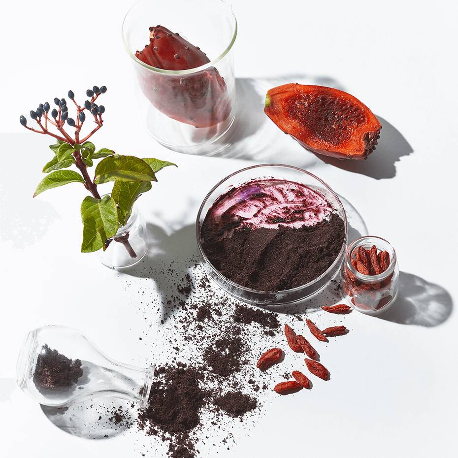 Organic acai powder and fresh acai berries displayed with a glass of acai smoothie.
